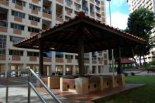 Blk 241 Bukit Panjang Ring Road (Bukit Panjang), HDB 5 Rooms #209042